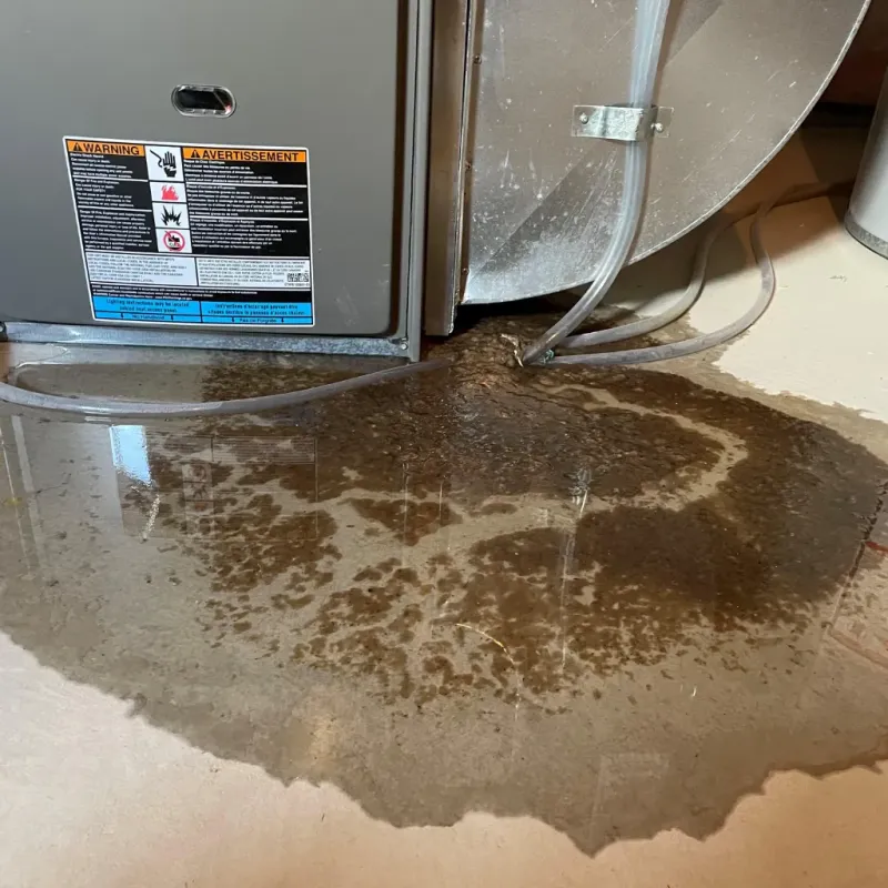 Appliance Leak Cleanup in Brawley, CA